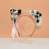 Dalmatian Terrier Pup