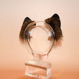 Sun-kissed Little Puppy