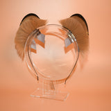 Pending! ~ Golden Honey Hamster