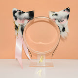 Dalmatian Terrier Pup