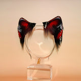 ‘Seeing Stars’ Feline