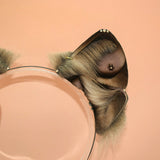 ‘Shep’ Coyote Pup
