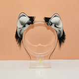 Classic Husky Little Puppy