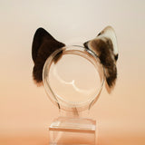 ‘Innermost Sparkle’ Basenji
