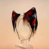 ‘Seeing Stars’ Feline