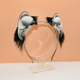 Classic Husky Little Puppy