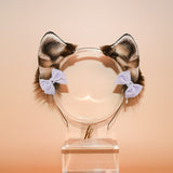 Sun-kissed Little Puppy