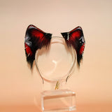 ‘Seeing Stars’ Feline