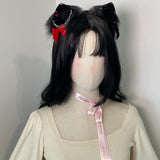 ‘Bleeding Heart’ Petites