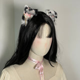 Dalmatian Terrier Pup