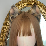 Closed! ~ Dilute Tortie Cat
