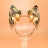 Closed! ~ Dilute Tortie Cat