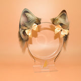 Closed! ~ Dilute Tortie Cat