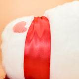 Closed! ~ ‘I Choose You’ Toebean Pillow