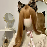 Closed! - Siamese Feline