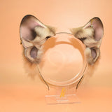 Closed! - Fawn French Bulldog