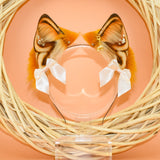 Closed ~ Ginger ‘Pupkin Spice’ Husky