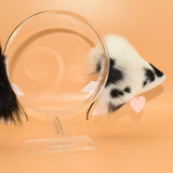 Winner Contacted! ~ Classic Black and White Cow