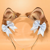 Winner Contacted! ~ Cinnamon Baby Shiba