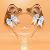 Winner Contacted! ~ Cinnamon Baby Shiba
