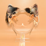 Closed! ~ Calico Feline