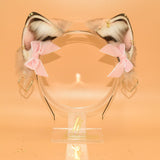 Petite Bows - 1st Gen. Velvet Collection