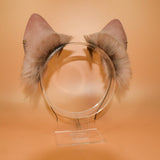 Closed! - ‘Spring Blush’ Husky