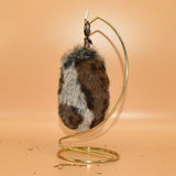 Closed! ~ Cross Fox Toebean