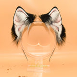 Best Offer ~ Bespoke Husky