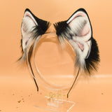 Best Offer ~ Bespoke Husky